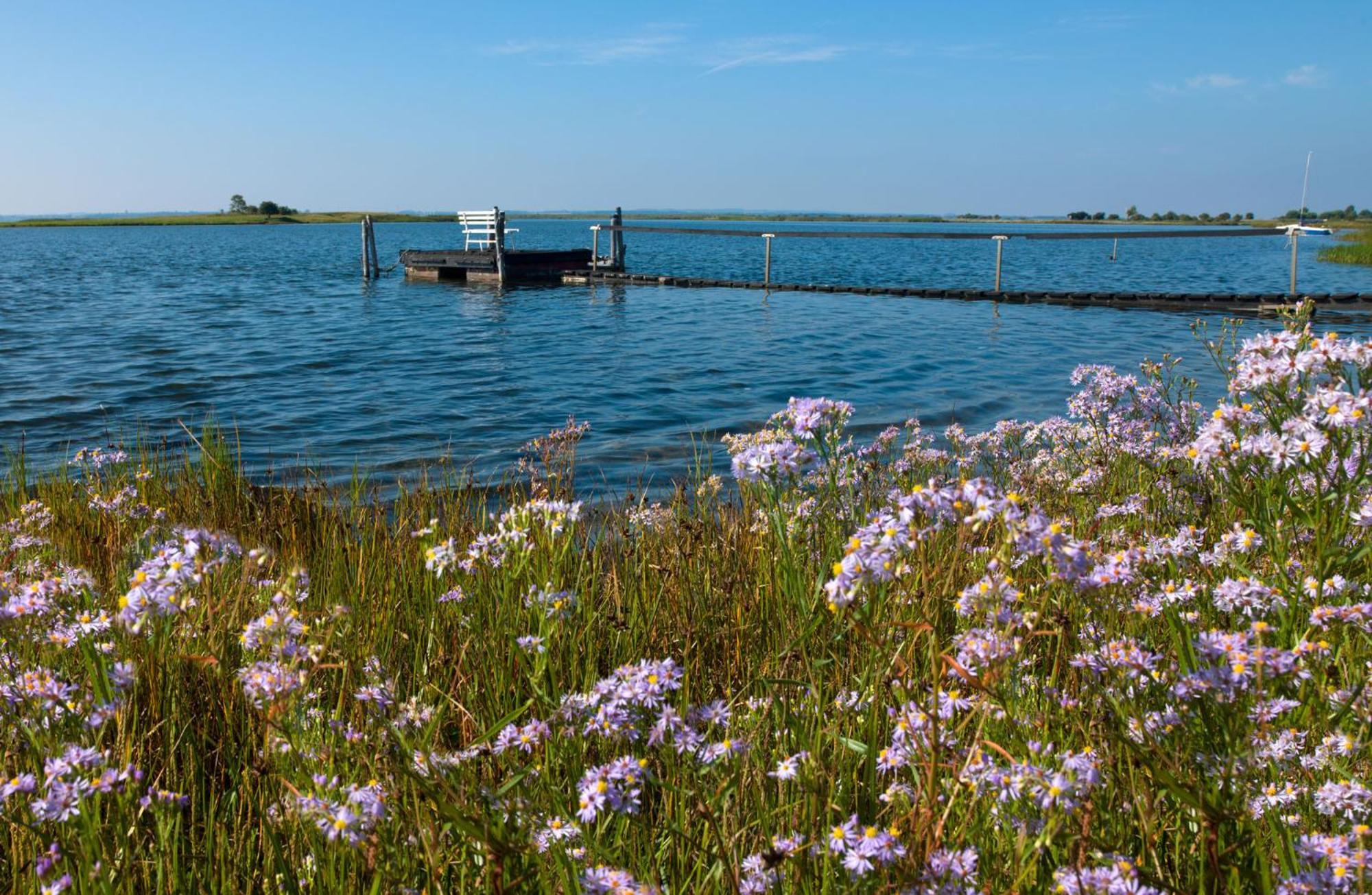 Inselhaeuser Kaltenhof Inselhaus Poel 1 Esterno foto