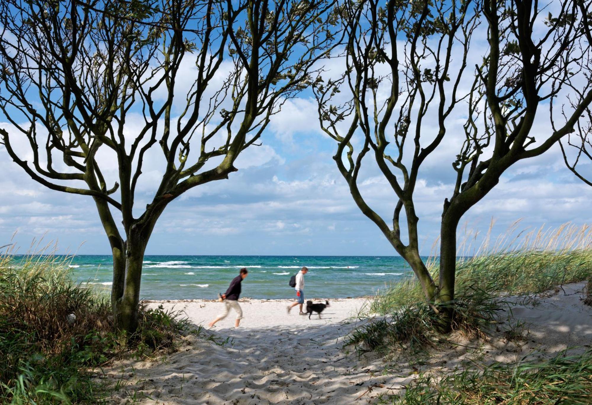 Inselhaeuser Kaltenhof Inselhaus Poel 1 Esterno foto
